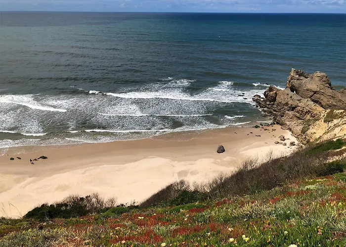 Atlantic Shell * פטיאס