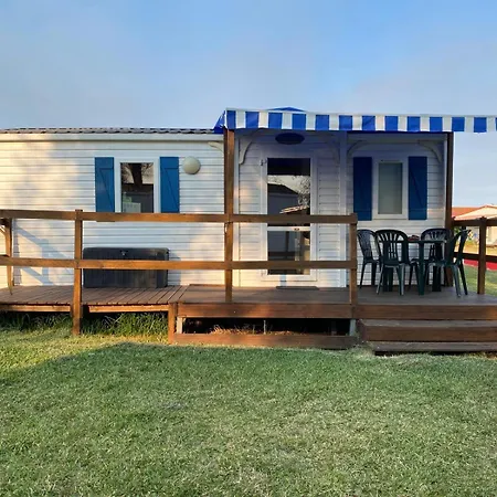 Campsite Atlantic Shell *
