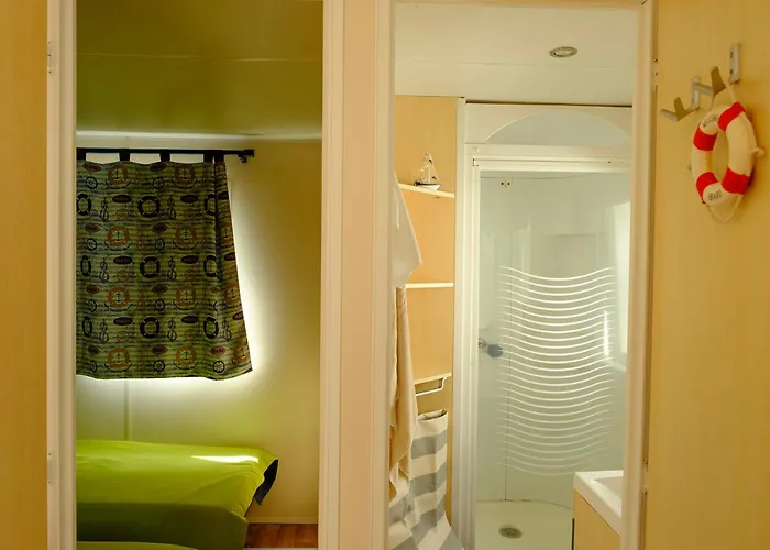 Atlantic Shell Kemping *